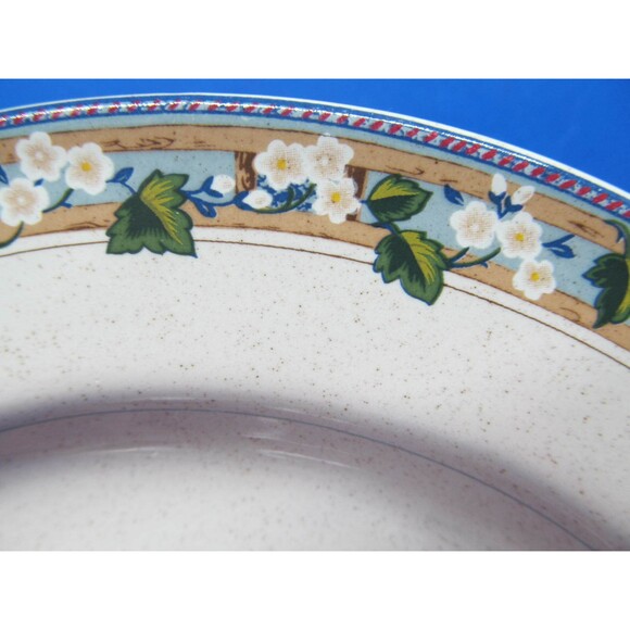 Christopher Stuart Springfest 8" Salad plates Bundle of 4 - Picture 4 of 9